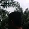 derfan - @derfan91 - TikTok