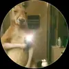 Dereck Suarez - @dereck.suarez3 - TikTok