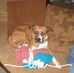 Derek Adkins - Facebook