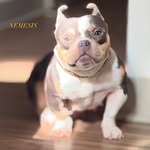 Derek Adkins - @droc_barber - Instagram