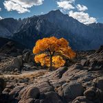 Derek Alden - @derekalden016 - Instagram