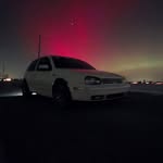 Derek Anspach - @inverticus.exotics - Instagram