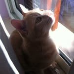 Derek Arena - @givealthbi - Instagram
