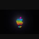Derek Arena - @dcraig2009 - Instagram
