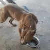 Derek Arroyo - @derek.arroyo53 - TikTok