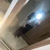 Derekarroyo - @derekarroyo17 - TikTok