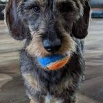 Derek Babcock - @bangorfire - Instagram