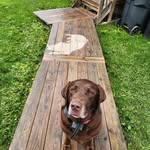 Derek Bacon - @firemanbaco - Instagram