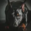 Derek Baer - @baerderek - TikTok