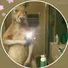 DEREK BAN - @d3rek_ban - TikTok