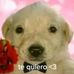 Derek Barron - Facebook