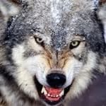 Derek Baughman - @derek.baughman.73 - Instagram