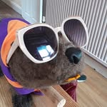 @derekbeaverscout - Instagram