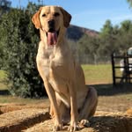 Derek Berry - @derekbear2018 - Instagram