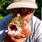 Derek Berry - @drockgoblue - Instagram