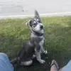Derek Berry - @derek.berry2 - TikTok