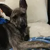 Derek_better - @derek_is_h1m - TikTok