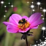 Derek Bee - @derek.blackwell.37 - Instagram