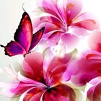 Derek Bobbitt - Facebook