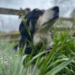 Derek Bond - @englishxcentric - Instagram