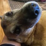Derek Bonner - @dctbninja - Instagram