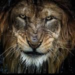 Derek Boyce - @derekboyce22 - Instagram