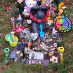 Derek Brace - @brace.derek - Instagram