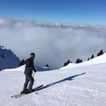 Derek Bradbury - @derek.bradbury.14 - Instagram