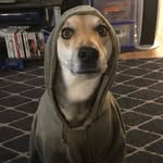 Derek Braithwaite - @bonhamsdad - Instagram