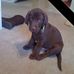 Derek Bremer - Facebook