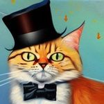 Derek Brenner - @zencat.io - Instagram