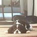 Derek Brewster - Facebook