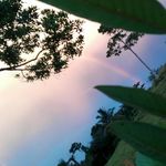 Derek Briones Quesada - @random_photographs_2021 - Instagram