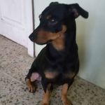 Derek Josue Loor Briones - @derekjosueloorbriones - Instagram