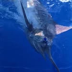 Derek Briscoe - @omahawelcome - Instagram