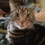 Derek Bristow - @decibel_tolls - Instagram