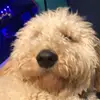 Brockway - @brockwayyy - TikTok