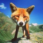 Derek Brockway - @derekbrock - Instagram