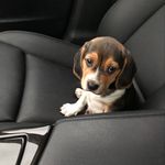 Derek Brodeur - @derekbmortgages - Instagram