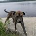 Derek Brodeur - Facebook