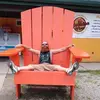 Derek Brookshier - @user27151448 - TikTok