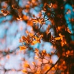 Derek’s Reading Log - @derekbroughtabook - Instagram
