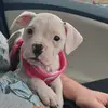 Derek Brown - @derek.brown66 - TikTok