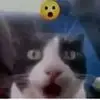 Derek Brown - @derek.brown25 - TikTok