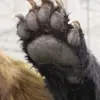 Derek Buck - @kiana_braun071880 - TikTok
