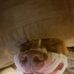 Derek Buffington - Facebook