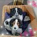 Derick Bullock - Facebook