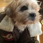 Derek Bunch - @mr.lackadaisical - Instagram