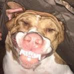 Derek Bunch - Facebook