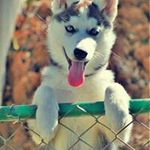Derek Bunn - @bunnderek - Instagram